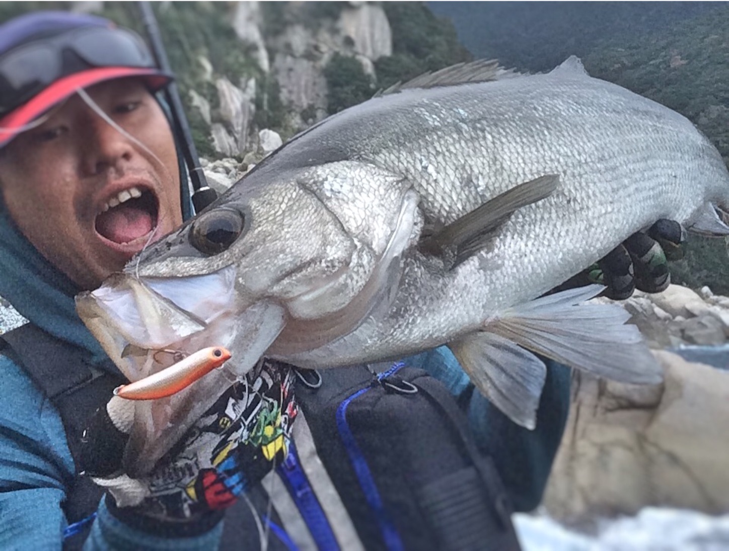 f:id:slackfish:20151122190103j:image f:id:slackfish:20151122190103j:image