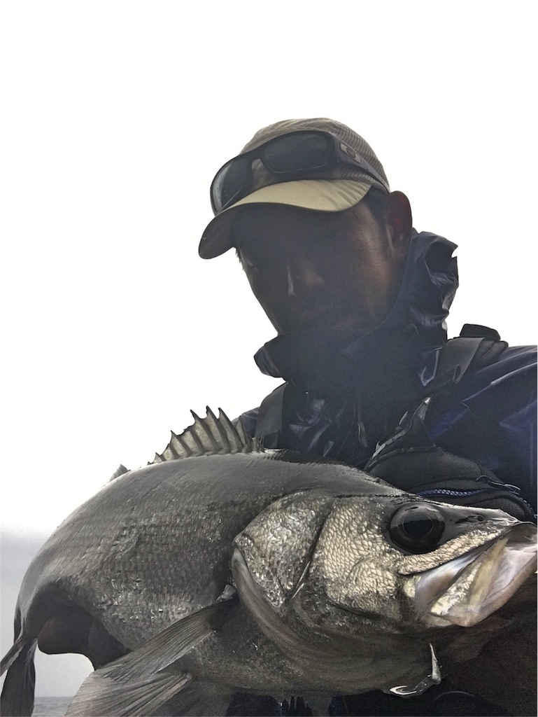 f:id:slackfish:20160117195211j:image f:id:slackfish:20160117195211j:image