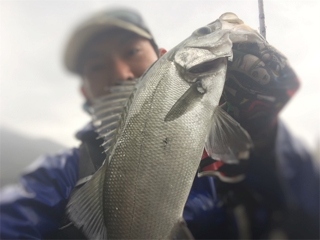 f:id:slackfish:20160117234122j:image f:id:slackfish:20160117234122j:image