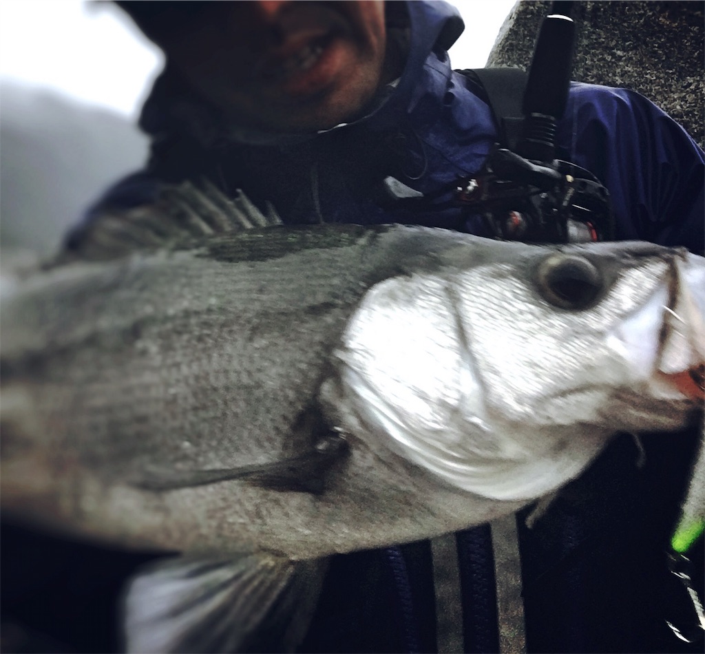 f:id:slackfish:20160307212834j:image f:id:slackfish:20160307212834j:image