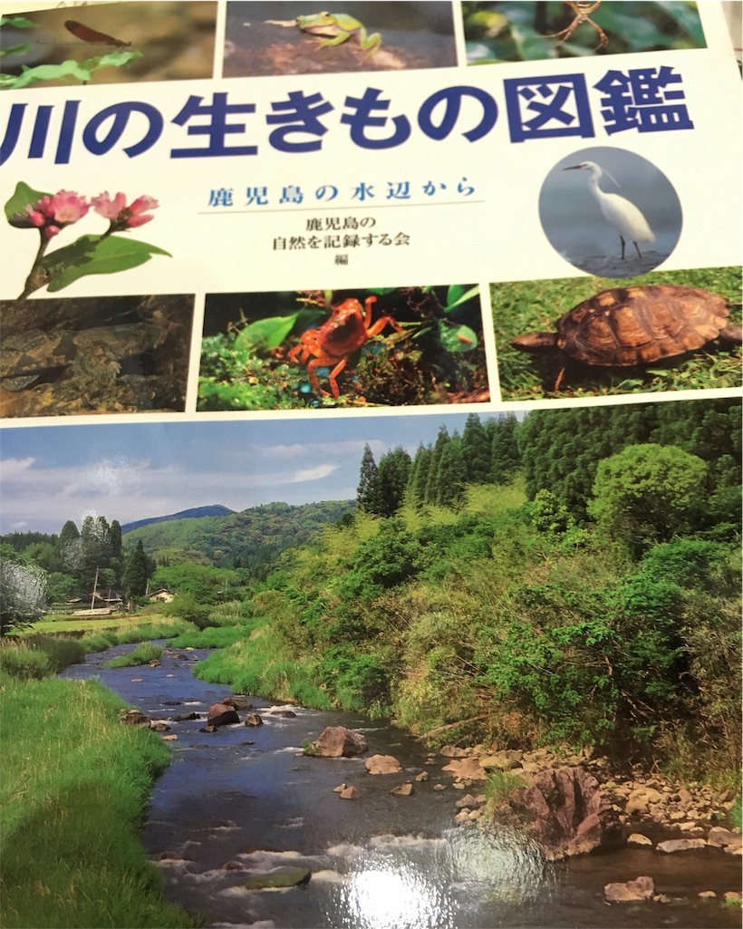 f:id:slackfish:20160309231542j:image f:id:slackfish:20160309231542j:image