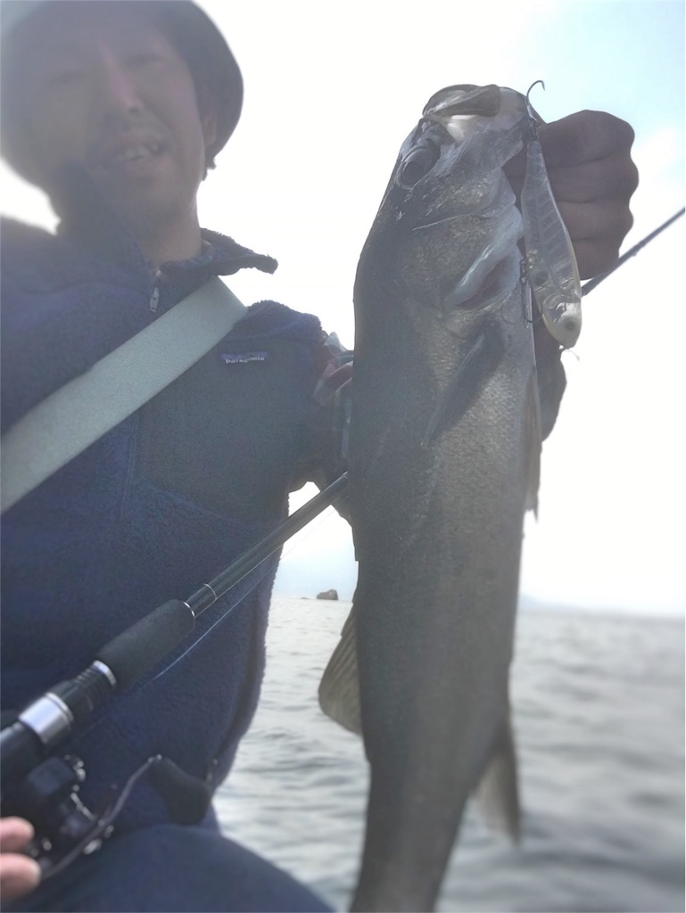 f:id:slackfish:20160327221439j:image f:id:slackfish:20160327221439j:image