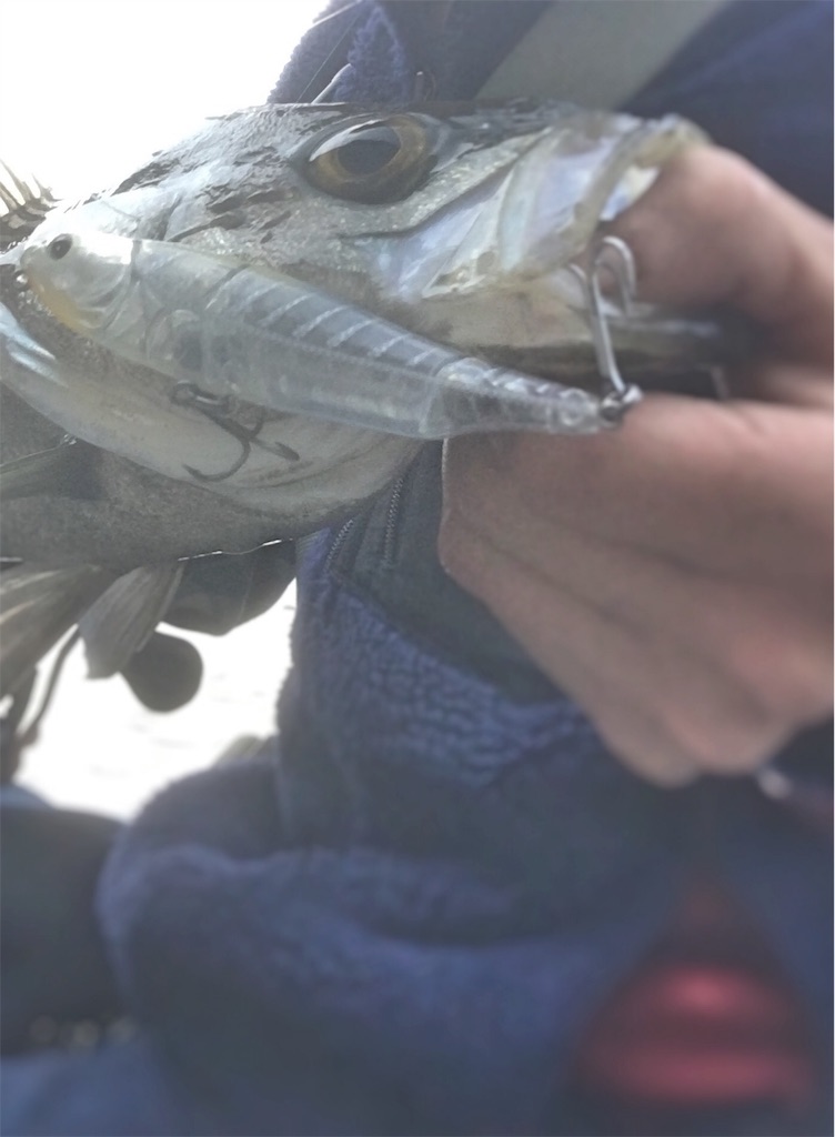 f:id:slackfish:20160327221800j:image f:id:slackfish:20160327221800j:image