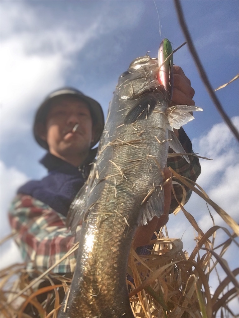 f:id:slackfish:20160327221920j:image f:id:slackfish:20160327221920j:image