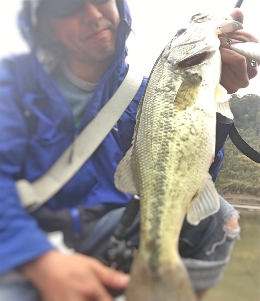 f:id:slackfish:20160404203622j:image f:id:slackfish:20160404203622j:image