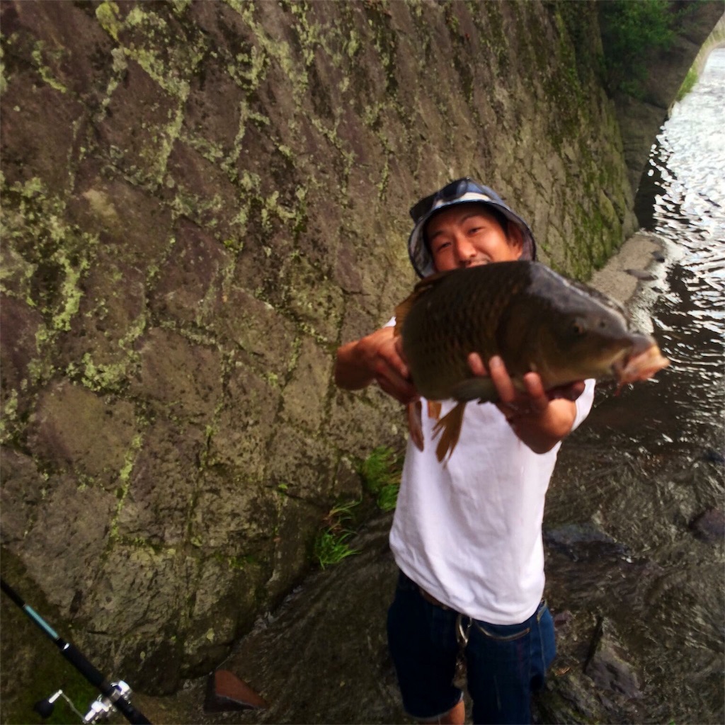 f:id:slackfish:20160404204200j:image f:id:slackfish:20160404204200j:image