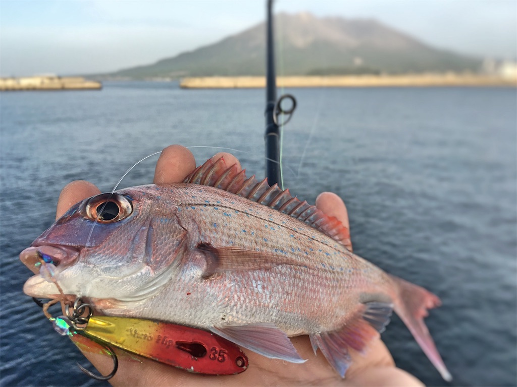 f:id:slackfish:20160422223601j:image f:id:slackfish:20160422223601j:image