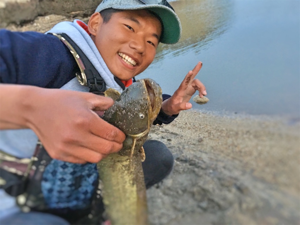 f:id:slackfish:20160422225529j:image f:id:slackfish:20160422225529j:image