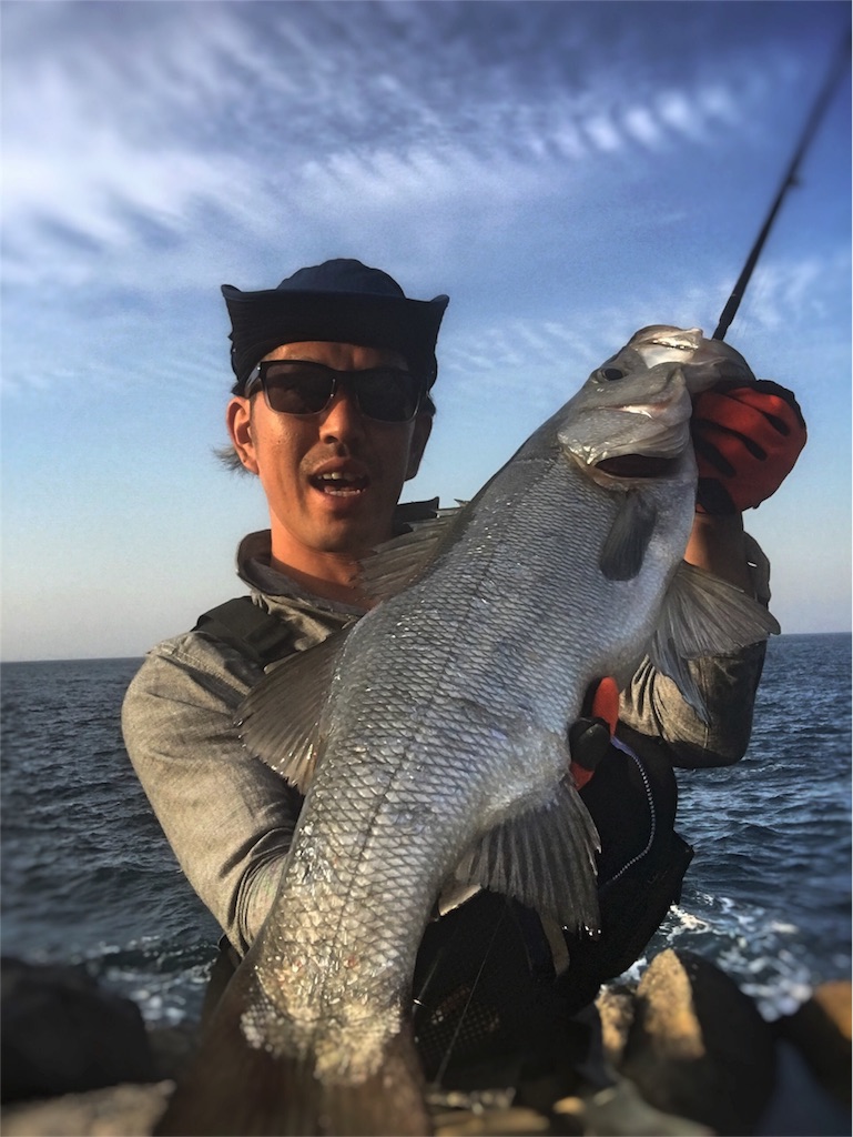 f:id:slackfish:20160507002853j:image f:id:slackfish:20160507002853j:image