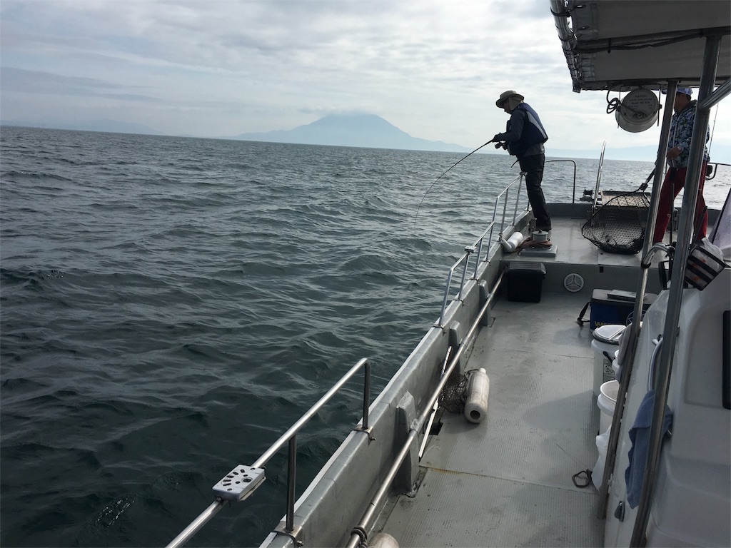 f:id:slackfish:20160516213217j:image f:id:slackfish:20160516213217j:image