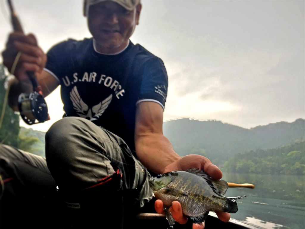 f:id:slackfish:20160516221320j:image f:id:slackfish:20160516221320j:image