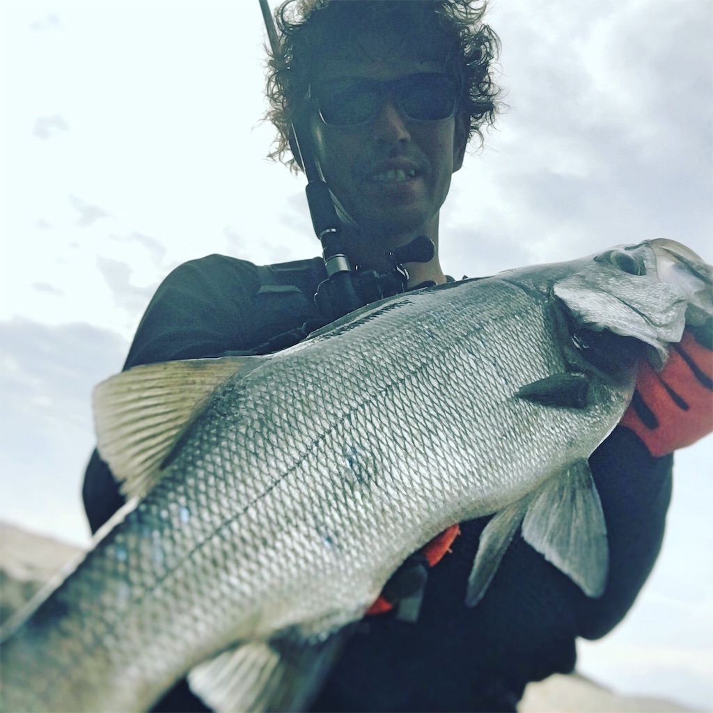 f:id:slackfish:20160523205831j:image f:id:slackfish:20160523205831j:image
