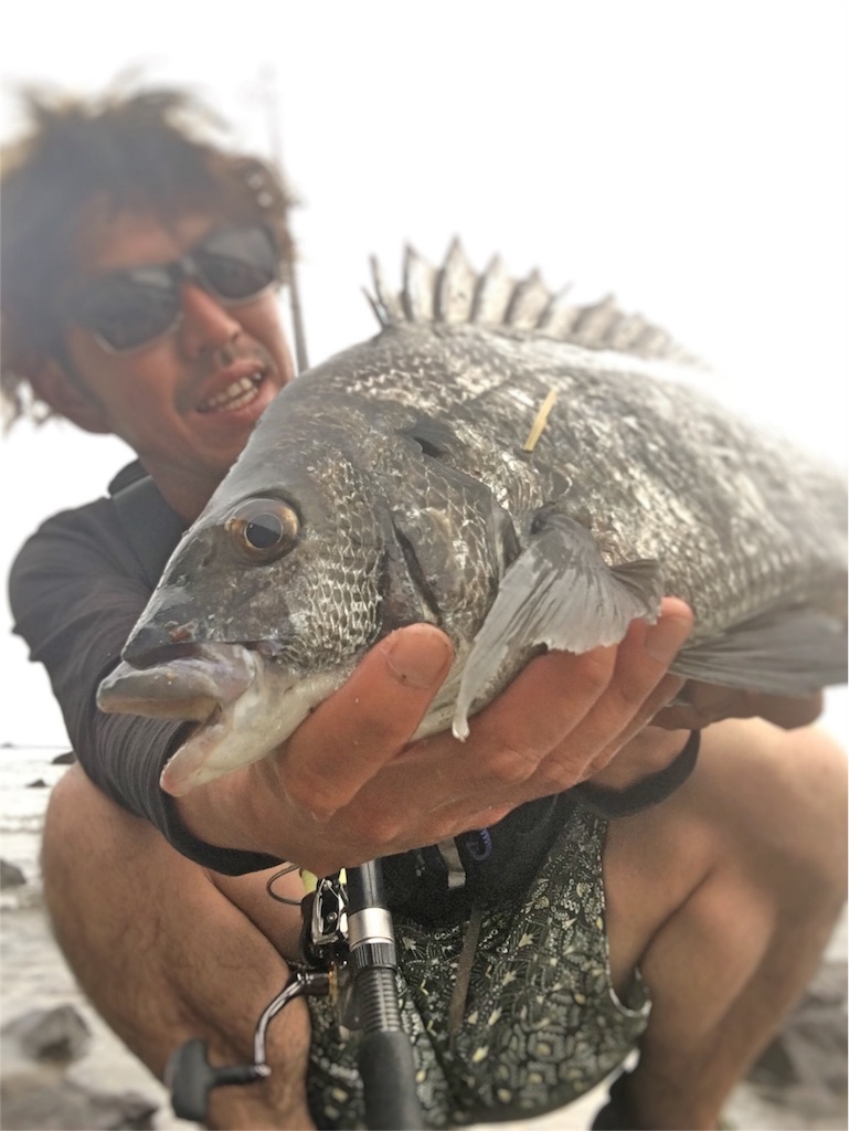 f:id:slackfish:20160523212241j:image f:id:slackfish:20160523212241j:image