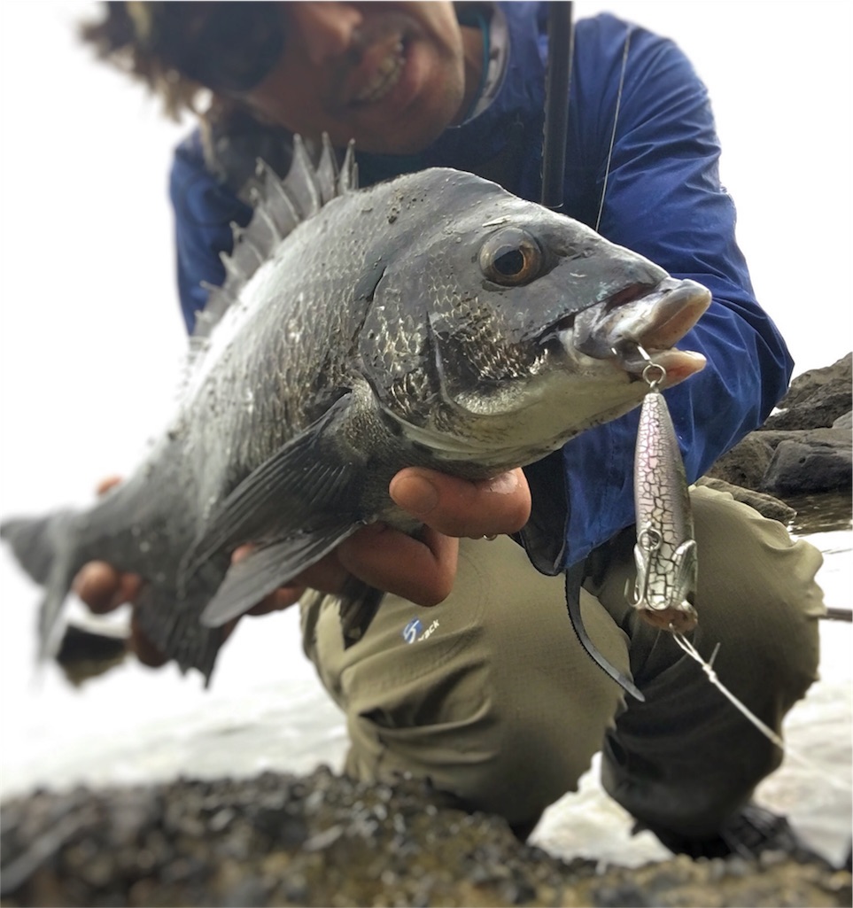 f:id:slackfish:20160529235056j:image f:id:slackfish:20160529235056j:image
