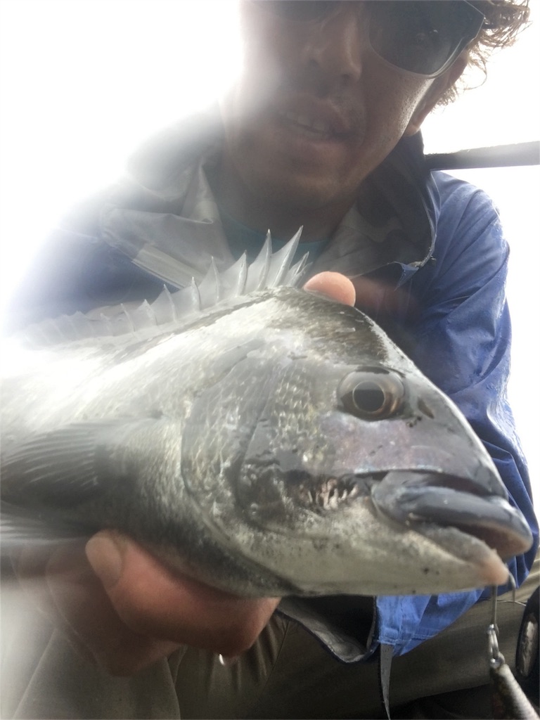 f:id:slackfish:20160529235303j:image f:id:slackfish:20160529235303j:image