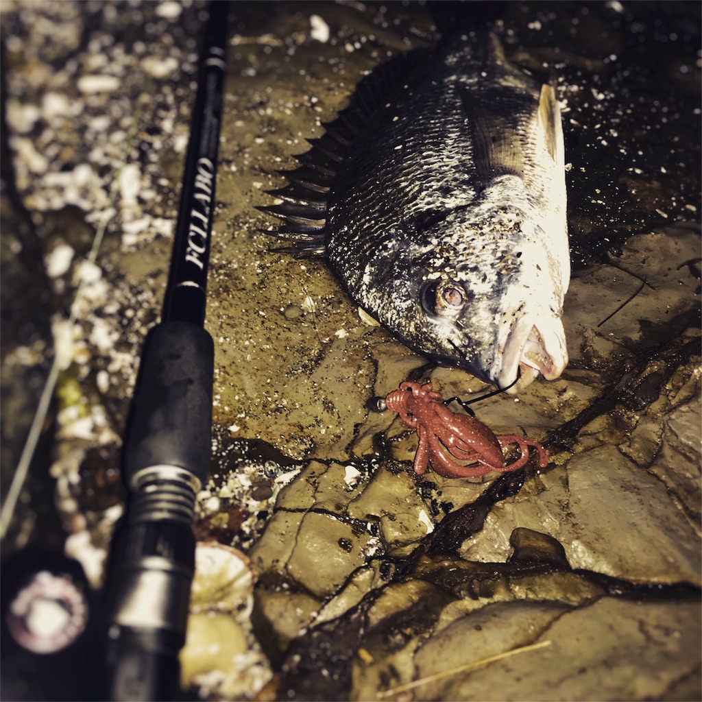 f:id:slackfish:20160605202340j:image f:id:slackfish:20160605202340j:image