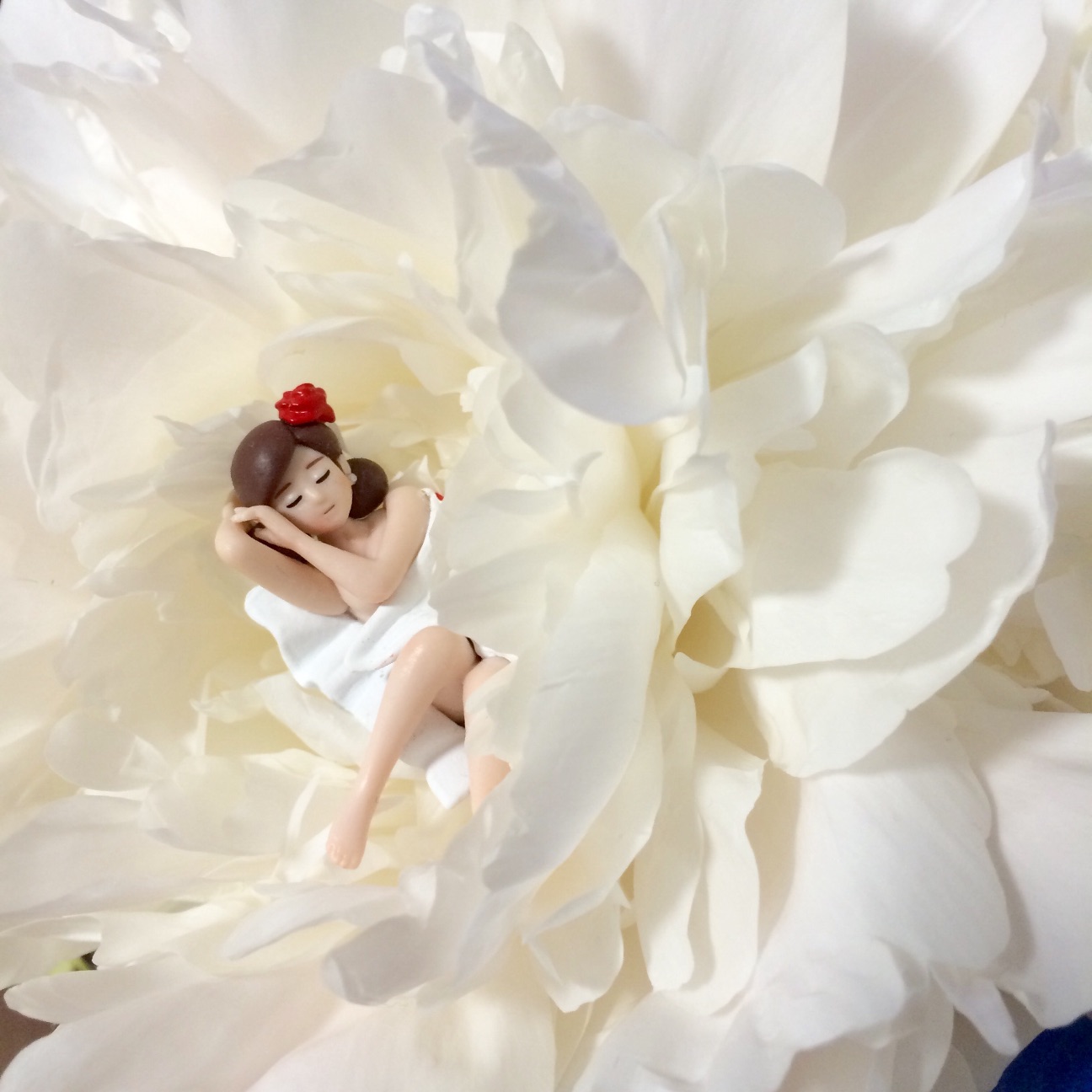 f:id:slimekingdom:20150616171122j:image f:id:slimekingdom:20150616171122j:image