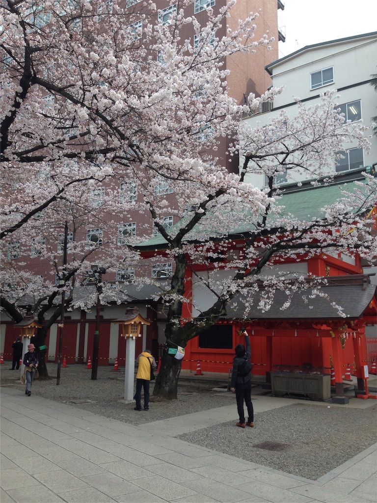 f:id:slimsugar:20160331175008j:image f:id:slimsugar:20160331175008j:image