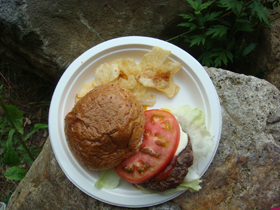 f:id:slowrider:20080726151741j:image f:id:slowrider:20080726151741j:image