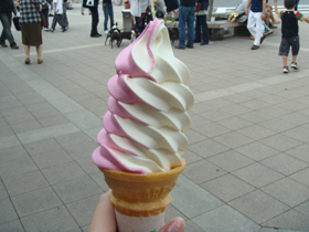 f:id:slowrider:20080914110228j:image f:id:slowrider:20080914110228j:image