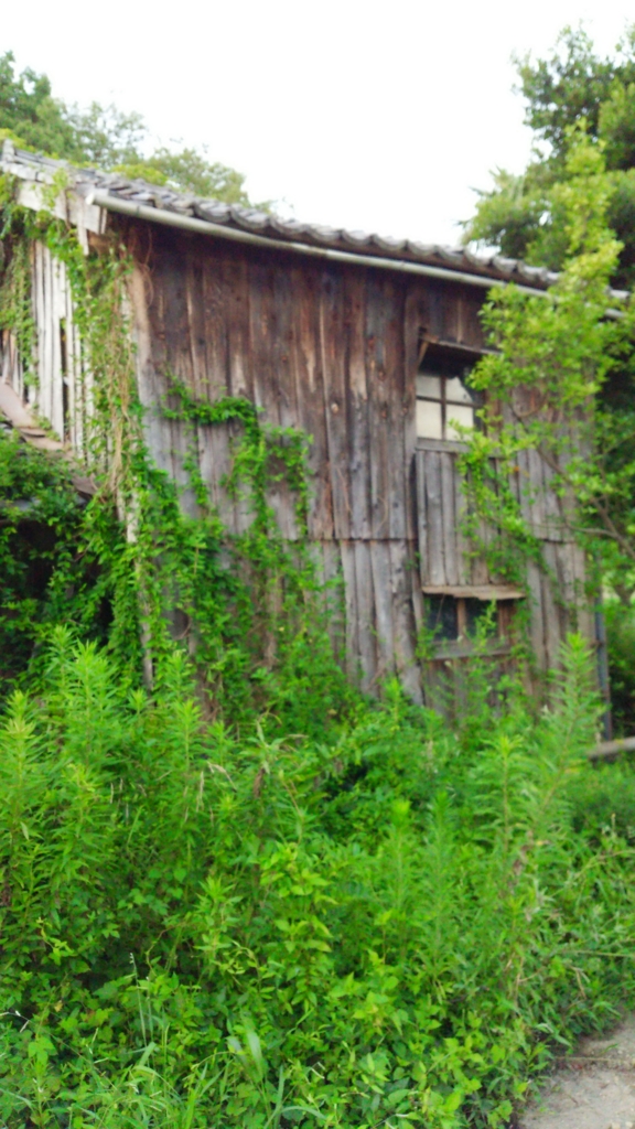 f:id:slowstudy:20150725185321j:plain f:id:slowstudy:20150725185321j:plain