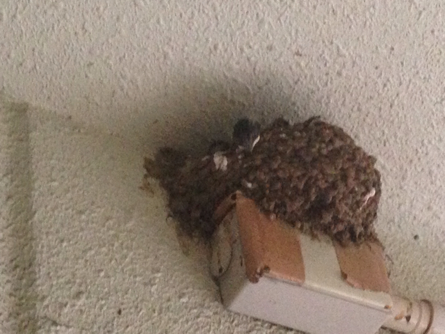 f:id:sm0mo:20130625215523j:plain f:id:sm0mo:20130625215523j:plain