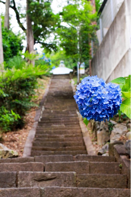 f:id:sm0mo:20150630151743j:image f:id:sm0mo:20150630151743j:image