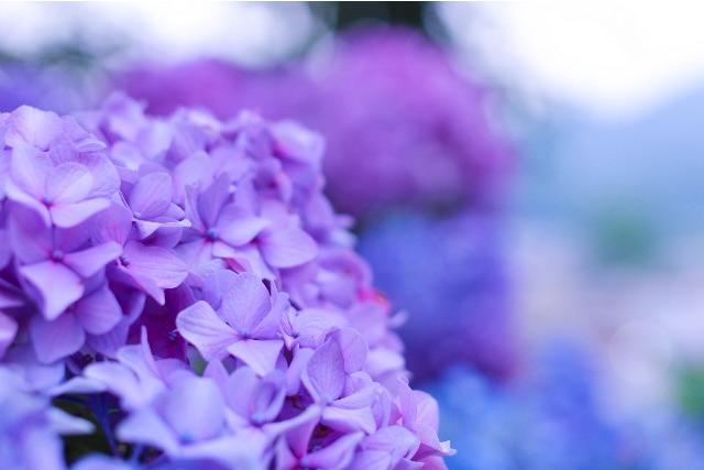 f:id:sm0mo:20150630151841j:image f:id:sm0mo:20150630151841j:image