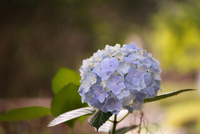 f:id:sm0mo:20150630152653j:image f:id:sm0mo:20150630152653j:image