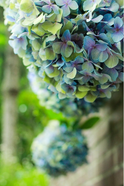f:id:sm0mo:20150707152925j:image f:id:sm0mo:20150707152925j:image