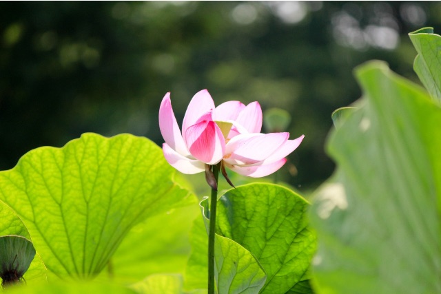 f:id:sm0mo:20150712164903j:image f:id:sm0mo:20150712164903j:image