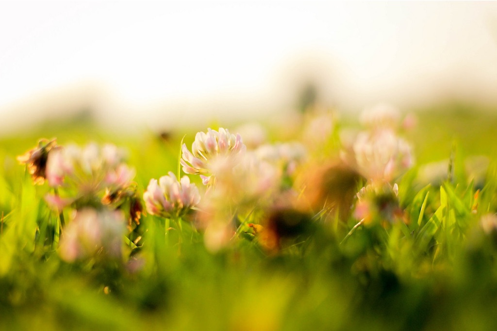 f:id:sm0mo:20150728235651j:image f:id:sm0mo:20150728235651j:image
