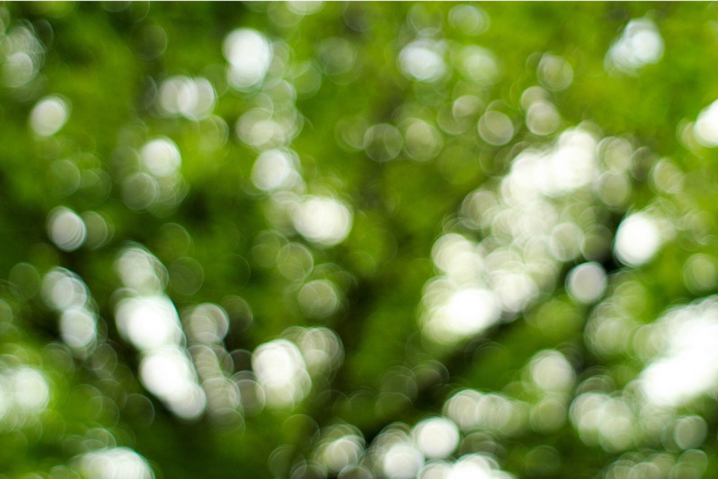 f:id:sm0mo:20150804173047j:image f:id:sm0mo:20150804173047j:image