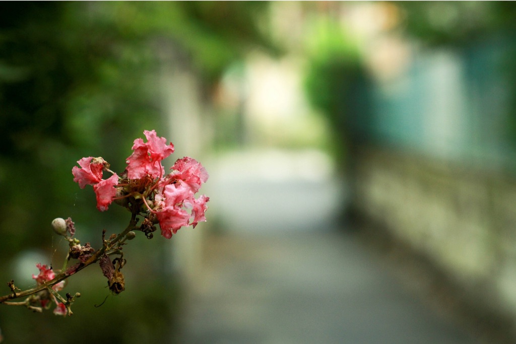 f:id:sm0mo:20150804173304j:image f:id:sm0mo:20150804173304j:image