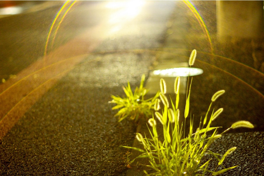 f:id:sm0mo:20150804173443j:image f:id:sm0mo:20150804173443j:image
