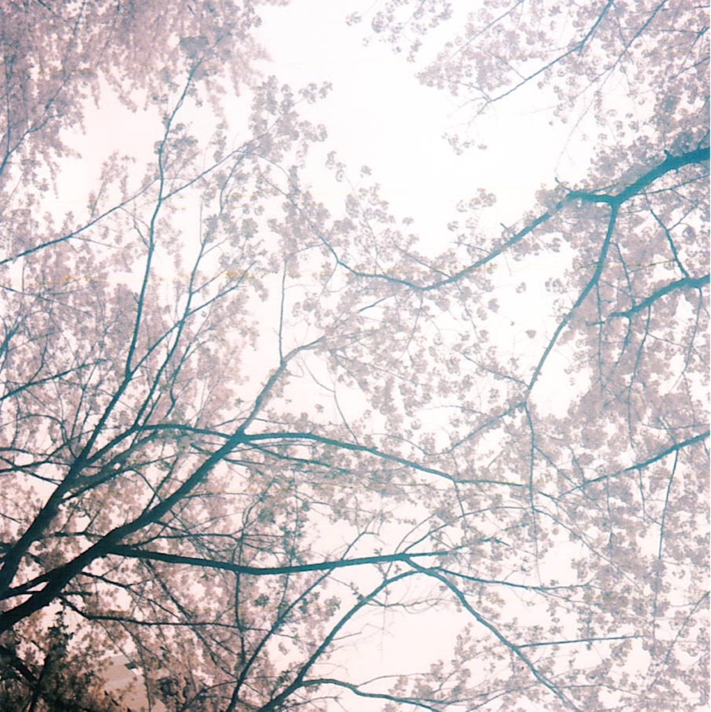 f:id:sm0mo:20150821190620j:image f:id:sm0mo:20150821190620j:image