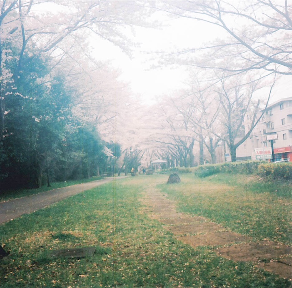 f:id:sm0mo:20150821190645j:image f:id:sm0mo:20150821190645j:image