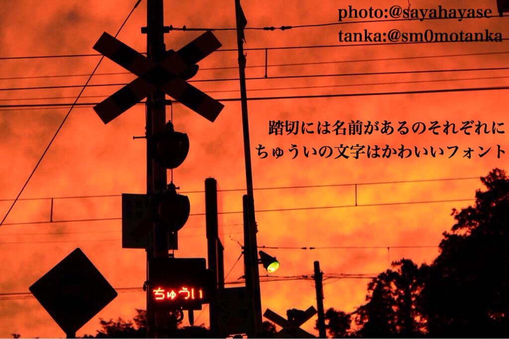 f:id:sm0mo:20160119223117j:image f:id:sm0mo:20160119223117j:image