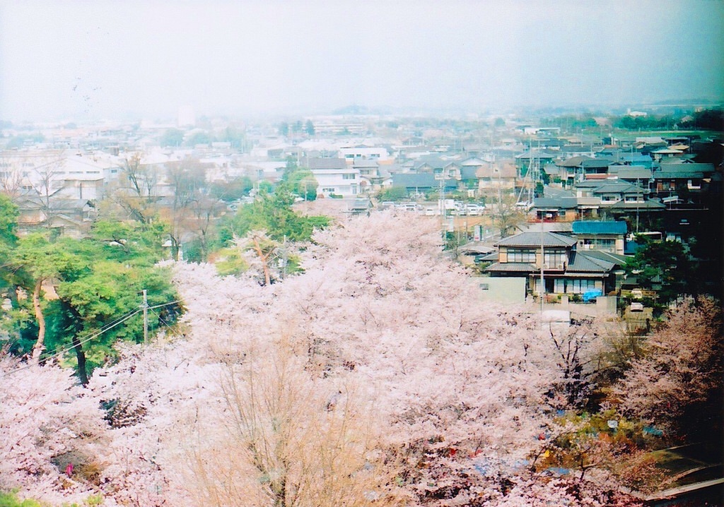 f:id:sm0mo:20160509213352j:image f:id:sm0mo:20160509213352j:image