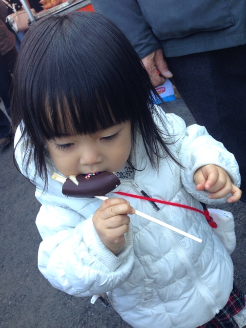 f:id:smallpalace:20140103165940j:plain f:id:smallpalace:20140103165940j:plain