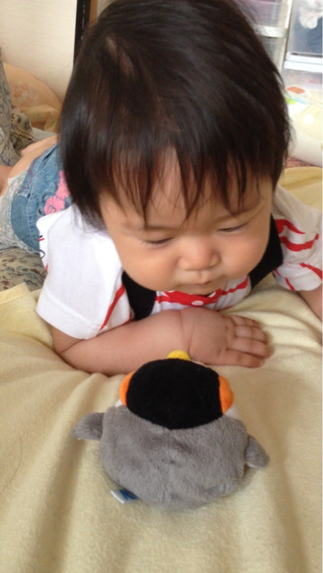 f:id:smallpalace:20141209124342j:plain f:id:smallpalace:20141209124342j:plain