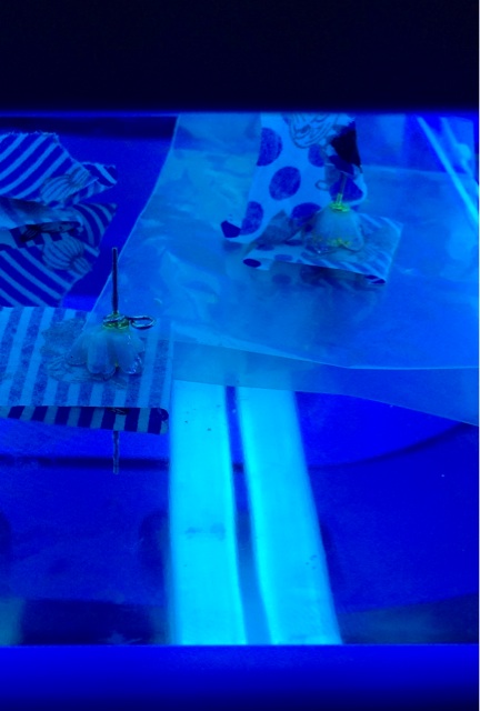 f:id:smallpalace:20150408093817j:plain f:id:smallpalace:20150408093817j:plain