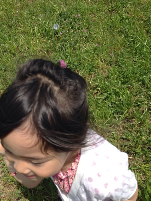 f:id:smallpalace:20150426210632j:plain f:id:smallpalace:20150426210632j:plain