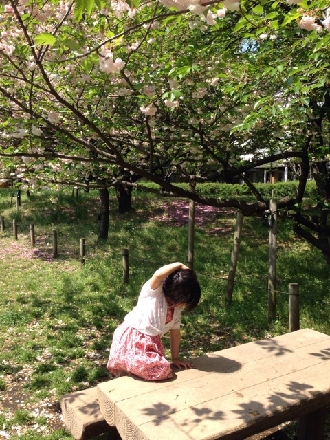 f:id:smallpalace:20150426210829j:plain f:id:smallpalace:20150426210829j:plain