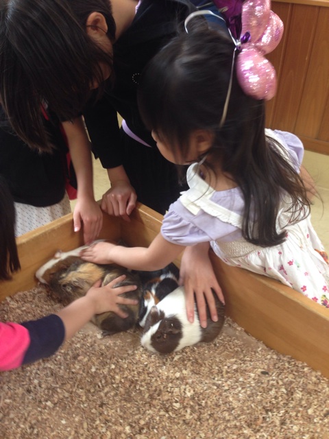 f:id:smallpalace:20150505114720j:plain f:id:smallpalace:20150505114720j:plain