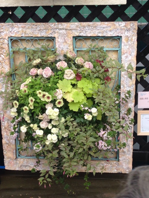f:id:smallpalace:20150517131537j:plain f:id:smallpalace:20150517131537j:plain