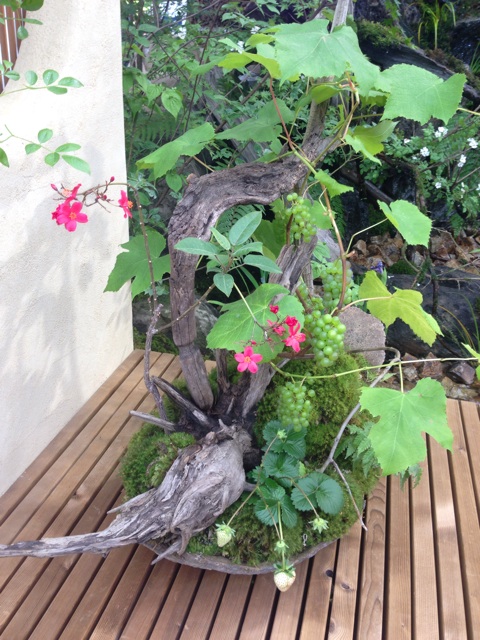 f:id:smallpalace:20150517131558j:plain f:id:smallpalace:20150517131558j:plain