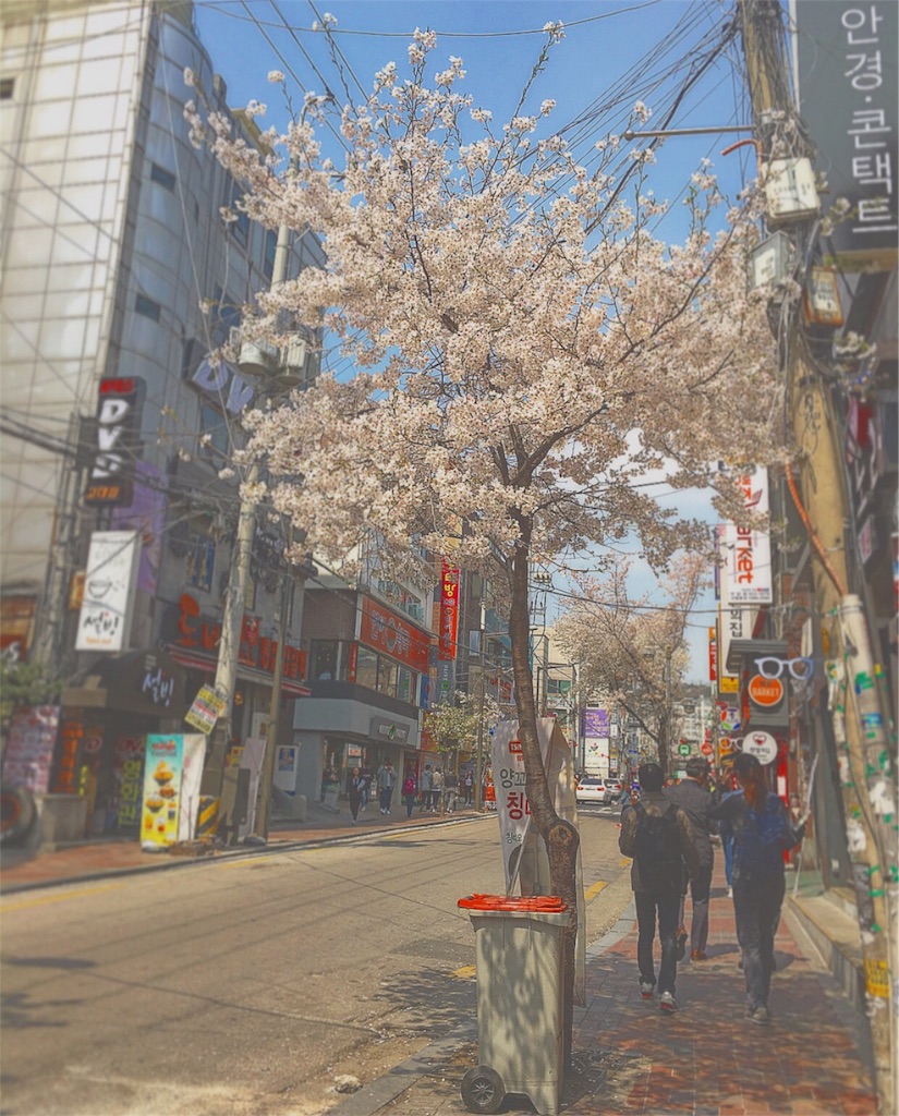 f:id:smf34:20160406230635j:image f:id:smf34:20160406230635j:image