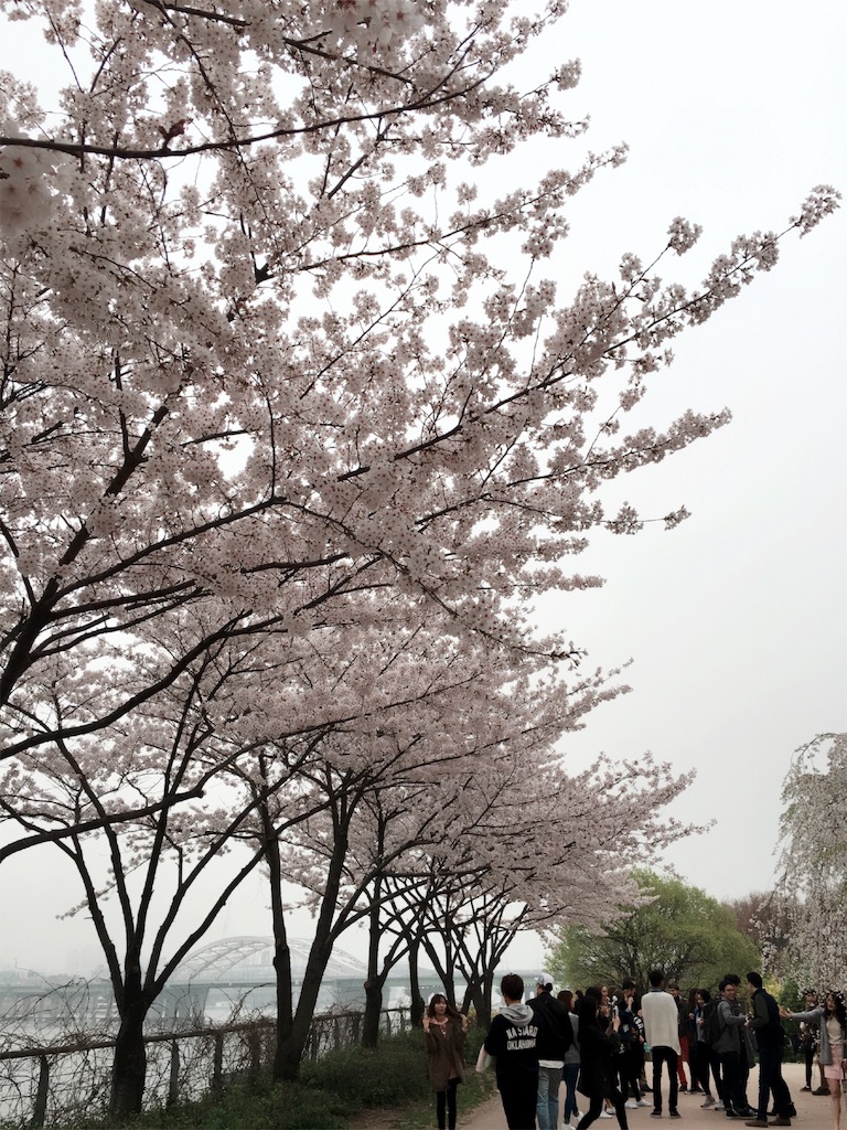 f:id:smf34:20160410234310j:image f:id:smf34:20160410234310j:image