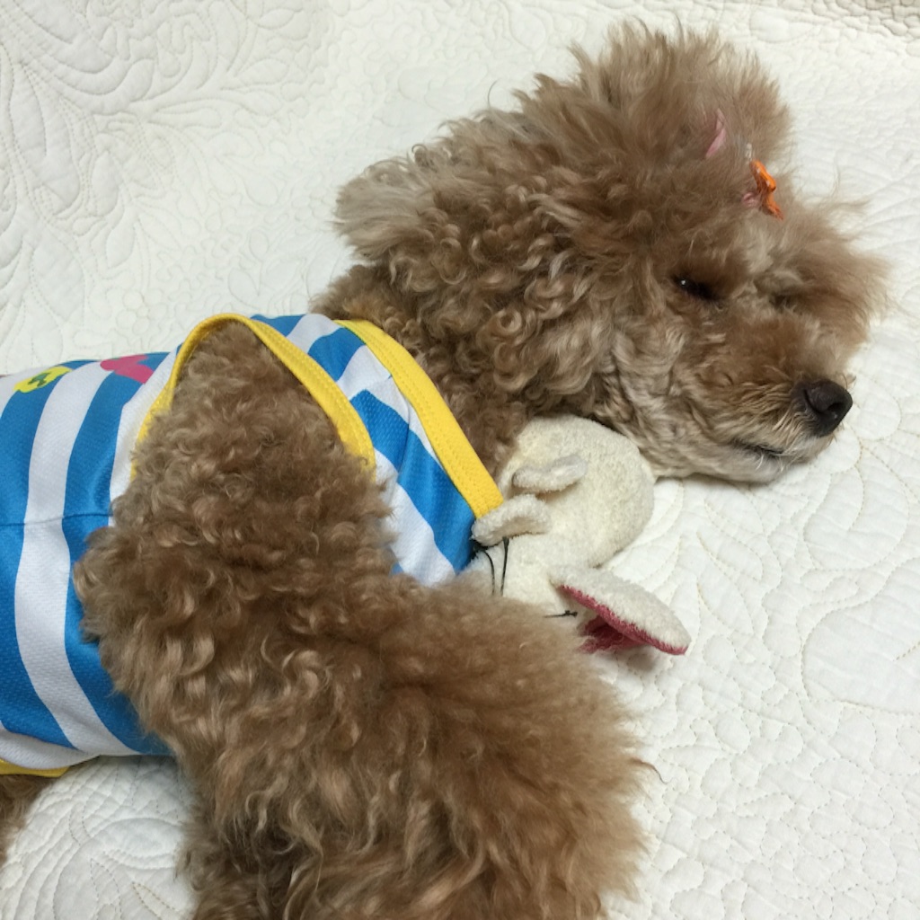 f:id:smile2poo-y:20150903005247j:image f:id:smile2poo-y:20150903005247j:image